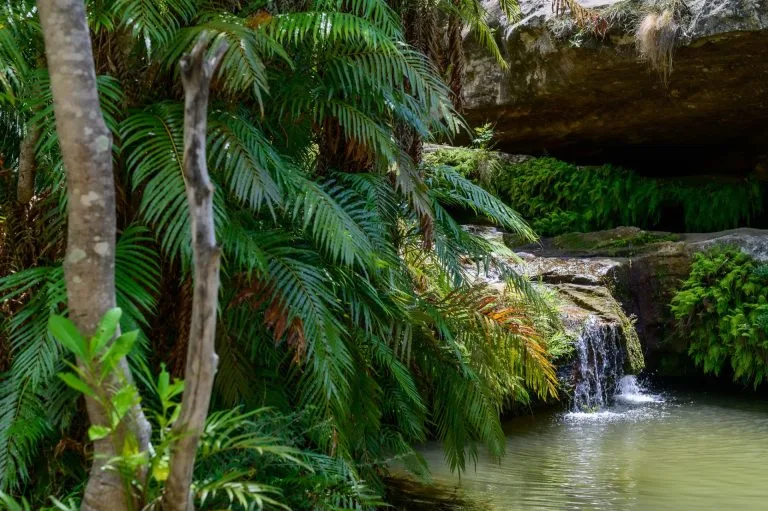 Cascade et végétation d'oasis dans un canyon de l'Isalo