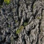 Panorama du Nord : entre parcs et lagons — Diego Suarez - Ankarana (Route vers le s Tsingy)